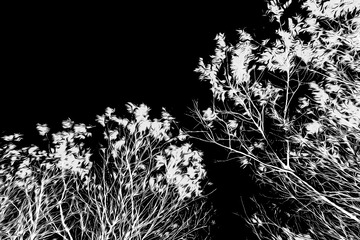 9E62CADC-3FD9-42B0-B75A-6FDC04727A76/L0/001