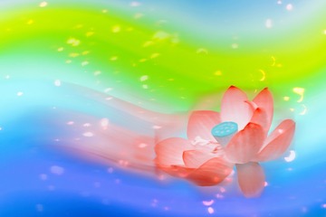 7C821B7D-0363-479A-BB95-96CDAE61A595/L0/001