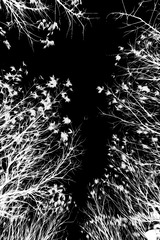 2053B4E0-59A8-467D-89F2-5BF3A273548B/L0/001