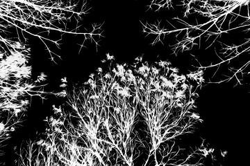 3E03B5C2-037E-4C96-90EE-5C6368CBF653/L0/001