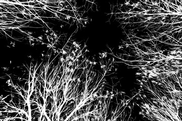 DC559BC2-0747-497A-BB6F-75D6A93514E9/L0/001