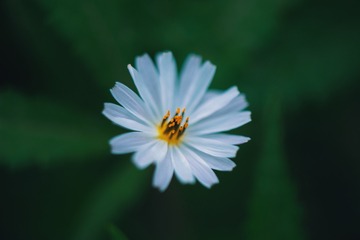 1450181