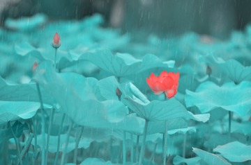 335615