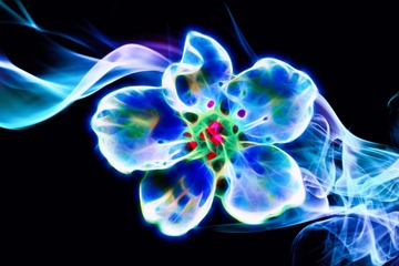 9A7A6B29-4EAD-4D82-B603-A2CF79155FF3/L0/001