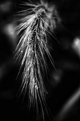 968B09A5-F2FD-4C2D-8788-105891ED557A/L0/001