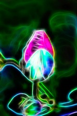 A4533DF4-D943-4823-BFB3-7821E1813D65/L0/001