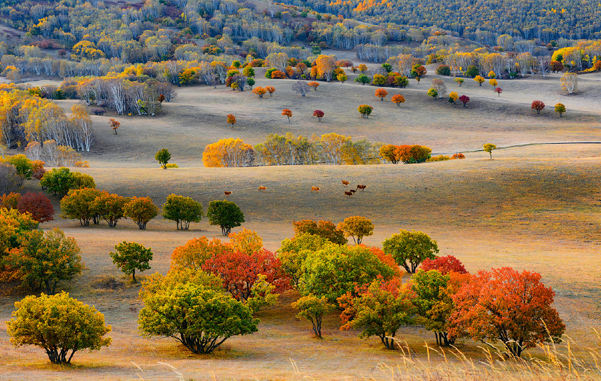 九饼李占华关注