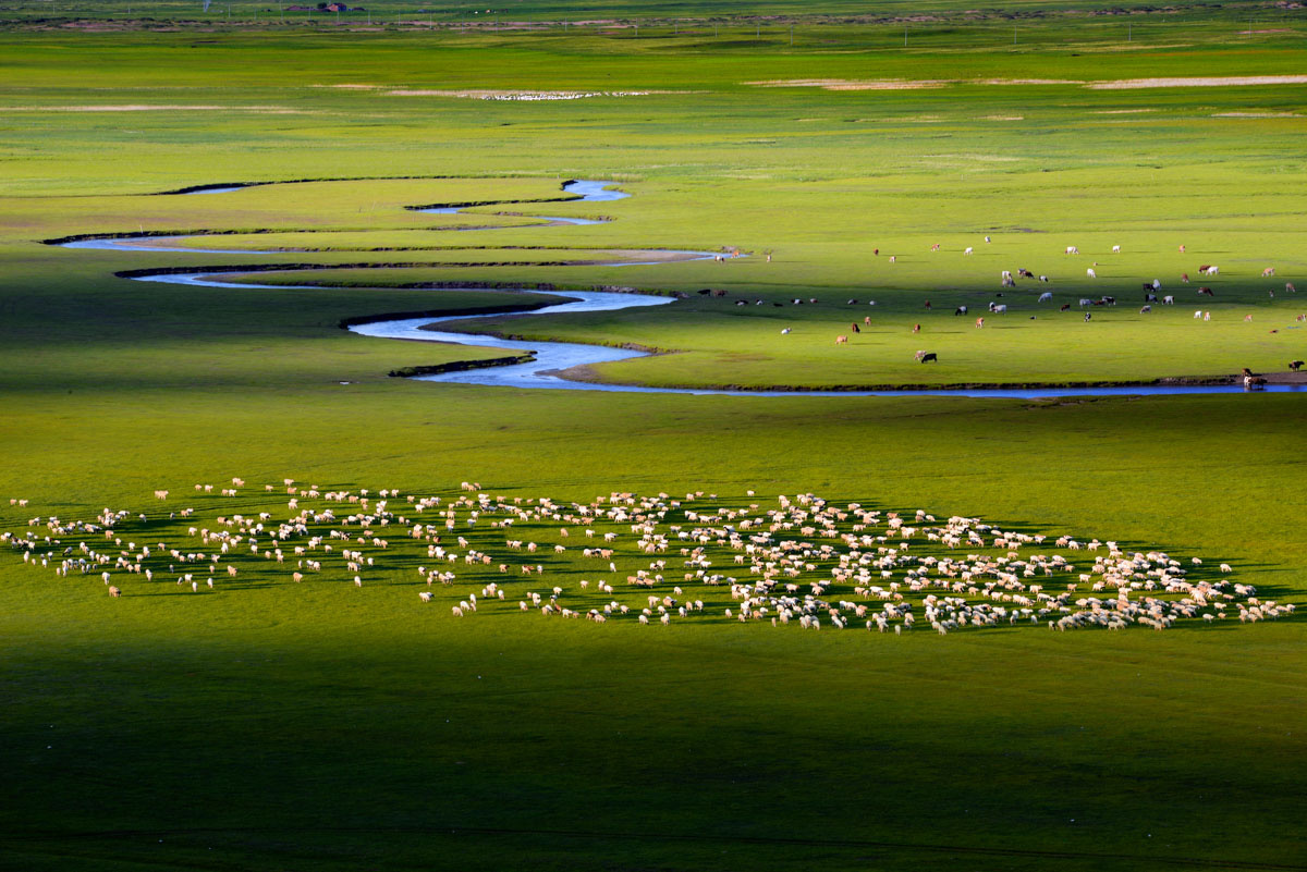 牧羊曲 - 九饼李占华 - 图虫网 - 优质摄影师交流社区