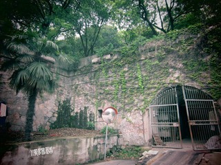 IMG_0516_副本.jpg