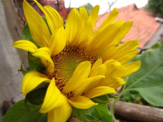 IMG_1077.JPG