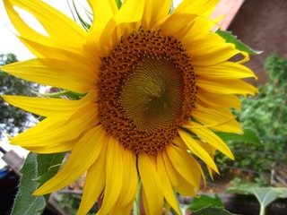 IMG_1082.JPG