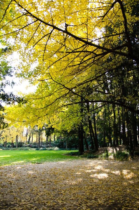 I like this autumn!<br />
