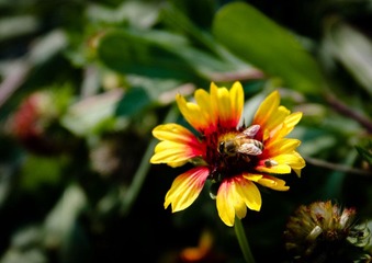 DSC_0181.jpg