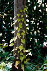 DSC_0139.jpg