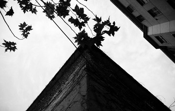 DSC_0385.jpg