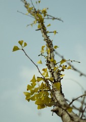 DSC_0222.jpg