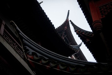 DSC_0463.jpg