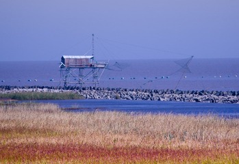 DSC_0713.jpg
