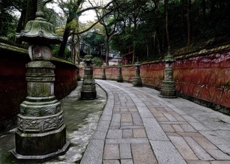 DSC_1042滤镜版.jpg