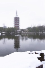 DSC_2024.jpg