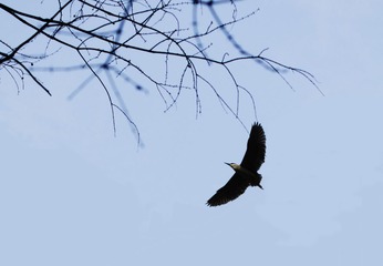 DSC_2261.jpg