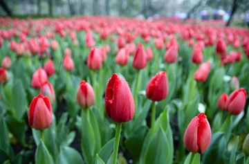DSC_2317.jpg
