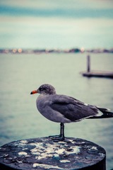 DOC_9653-2