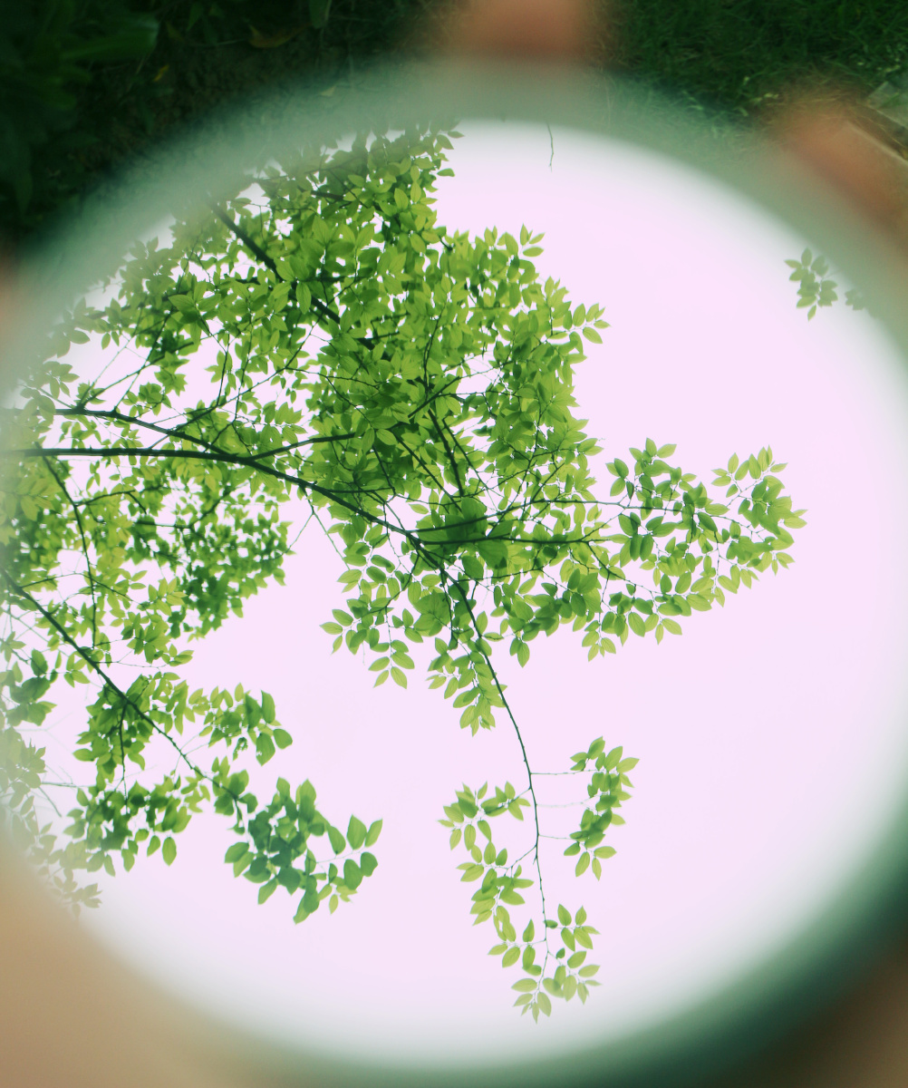 绿色总是亮眼一边调色一边看窗外的暴雨闪电从明亮变暗雾蒙蒙黑下来云