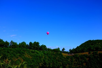 79F38D88-80D5-4161-8FAC-DC9DC92102E1/L0/001
