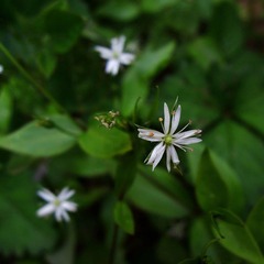 DSCN1195.jpg
