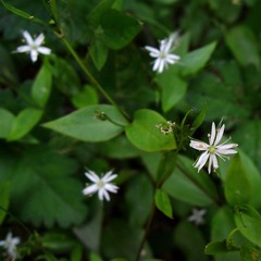 DSCN1194.jpg