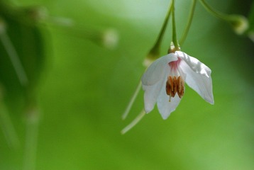 DSC_0025_025.jpg
