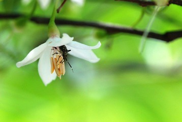 DSC_0049_049.jpg