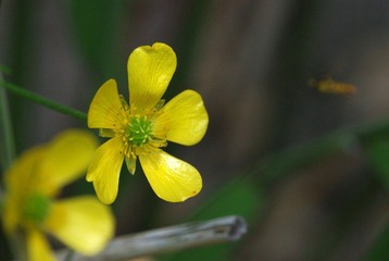 DSC_0063_063.jpg