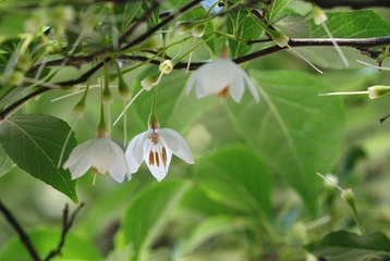 DSC_0103_103.jpg