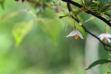 DSC_0123_123.jpg