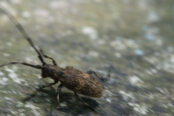 DSC_0073_073.jpg