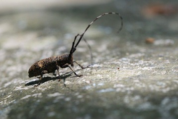 DSC_0076_076.jpg