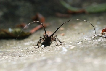 DSC_0079_079.jpg