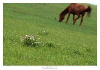 DSC_0107.jpg