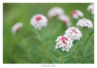 DSC_0123.jpg