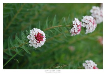 DSC_0124_01.jpg
