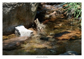 DSC_0581.jpg