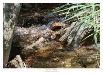 DSC_0582.jpg