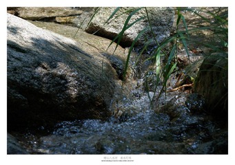DSC_0584.jpg