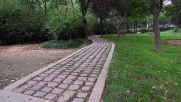 DSCN1764.jpg