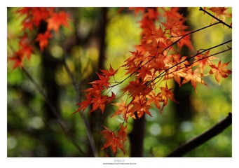 20121103_0008.jpg