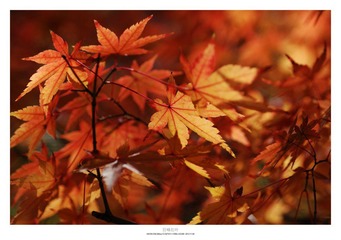 20121103_0009.jpg
