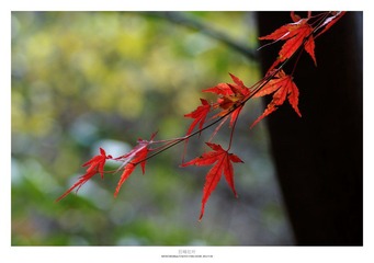 20121103_0010.jpg