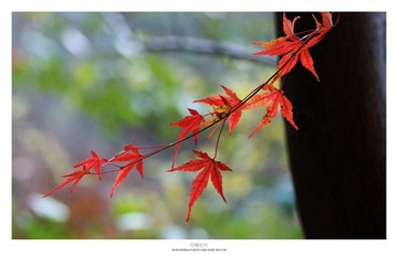 20121103_0011.jpg